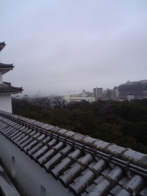 akashi-uonotana-akashijyou-0602-2