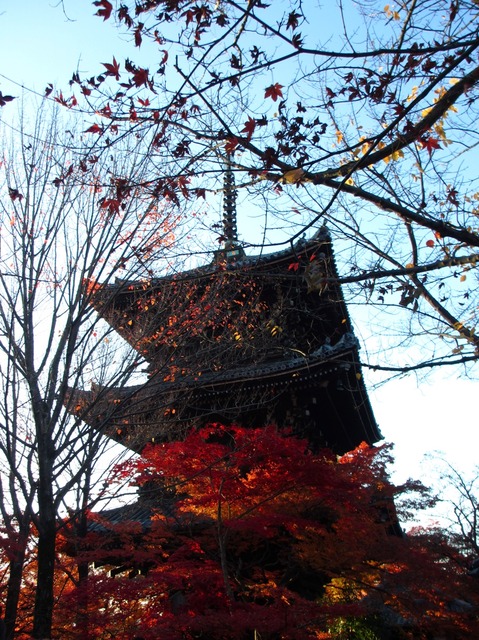 autumn-leaves-2012-shinnyodo-7