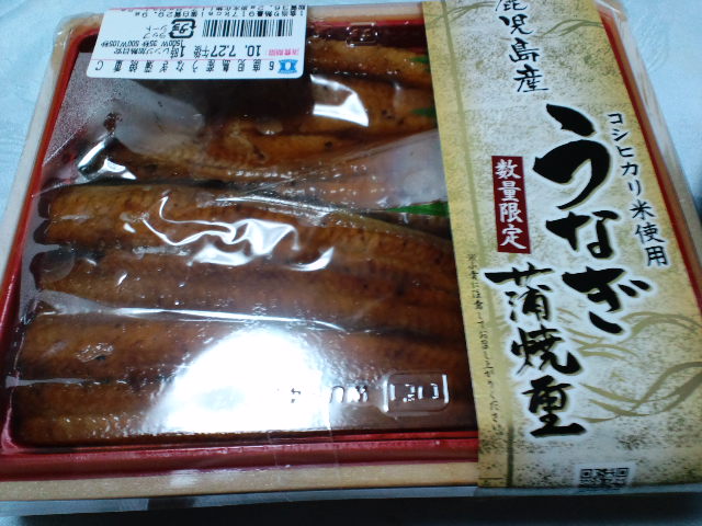 unagi-2010-0726-1