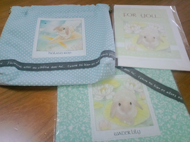 mypet-rabbit-sora-110806-2