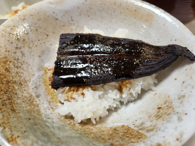 unagi-2022-0804-2