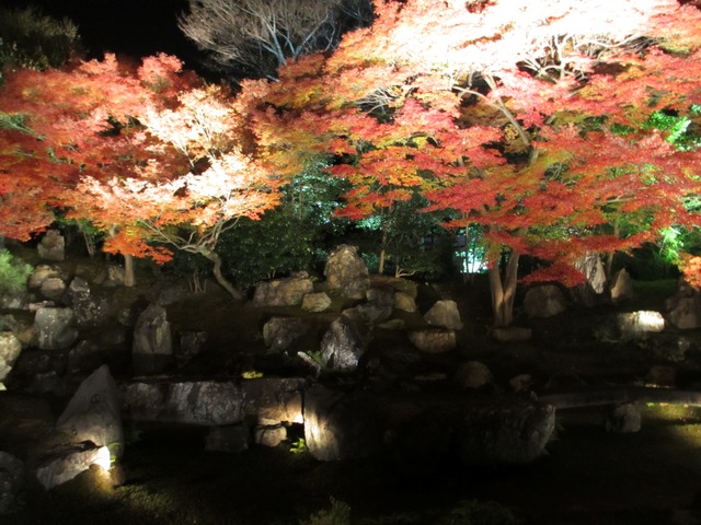 autumn-leaves-2012-entokuin-8