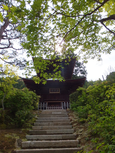 DSCF1796
