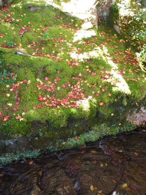 autumn-leaves-2012-nanzenji-22