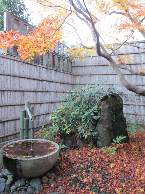 kyoto-yojiyacafe-sagano-arashiyama-1212-3