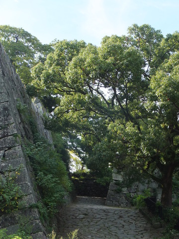 DSCF2112