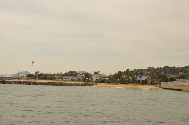 DSC_0369