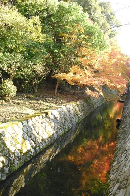 autumn-leaves-2012-kyoto-tetsugakunomichi-9