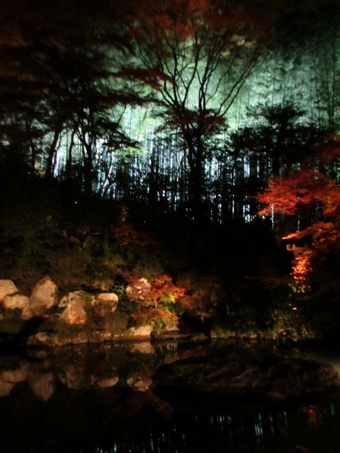 autumn-leaves-2012-shorenin-10