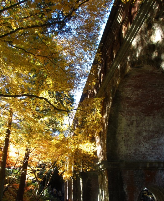 autumn-leaves-2012-nanzenji-21