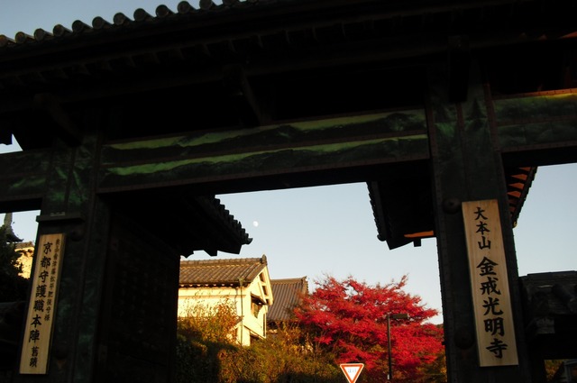 autumn-leaves-2012-shinnyodo-28