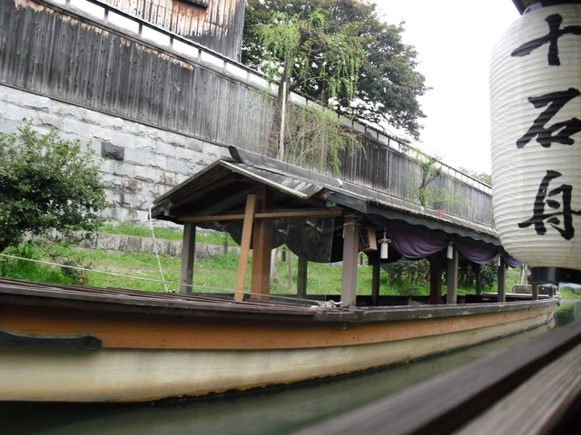 cherry-blossom-fushimi-jyukkokubune-2012-8