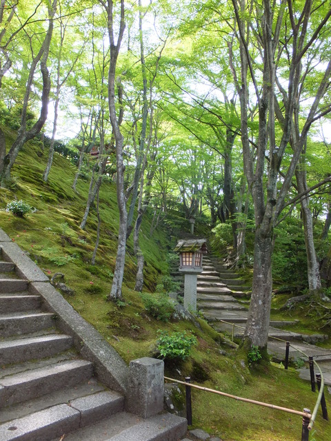 DSCF1802
