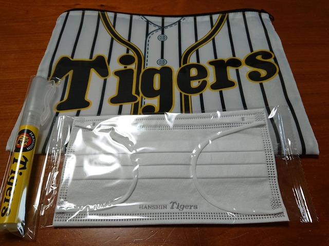 hanshin-tigers-koshien-210701-5a