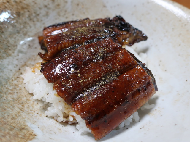 unagi-2020-0802-4