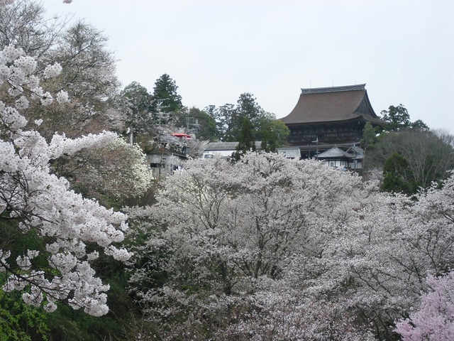 yoshinoyama-kagura-1204-1