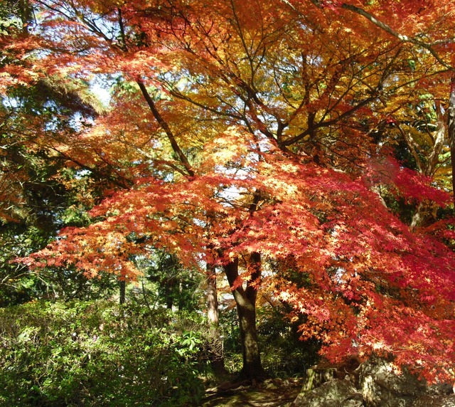autumn-leaves-2012-nanzenji-6