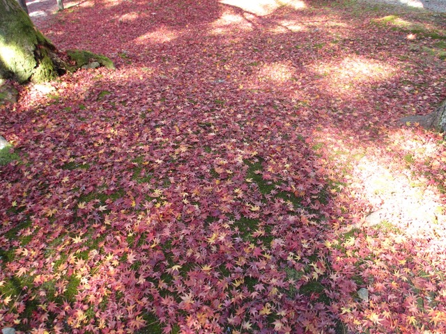 autumn-leaves-2012-nanzenji-15