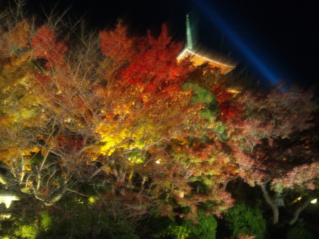 autumn-leaves-2011-kiyomizudera-4