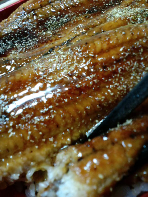 unagi-2010-0726-6