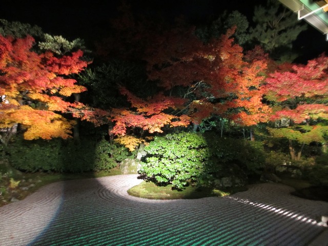 autumn-leaves-2012-entokuin-3