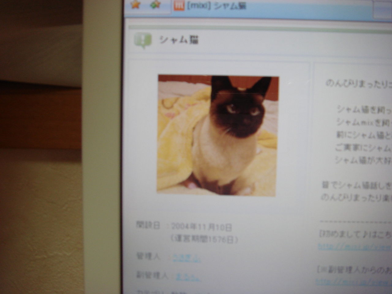 猫 パパゲーナの猫缶 猫 パパゲーナの猫缶