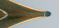 2011-12-26 07