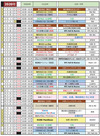 2020詳細日程V5