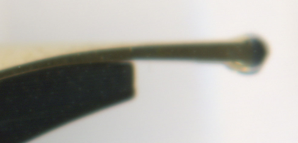 土曜日の調整報告 【 仙台大橋堂 赤漆軸 14K H-M 自己調整の軌道修正