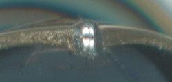 2011-08-15 06