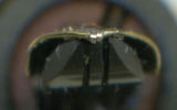 2008-01-23 04