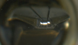 2008-05-03 06