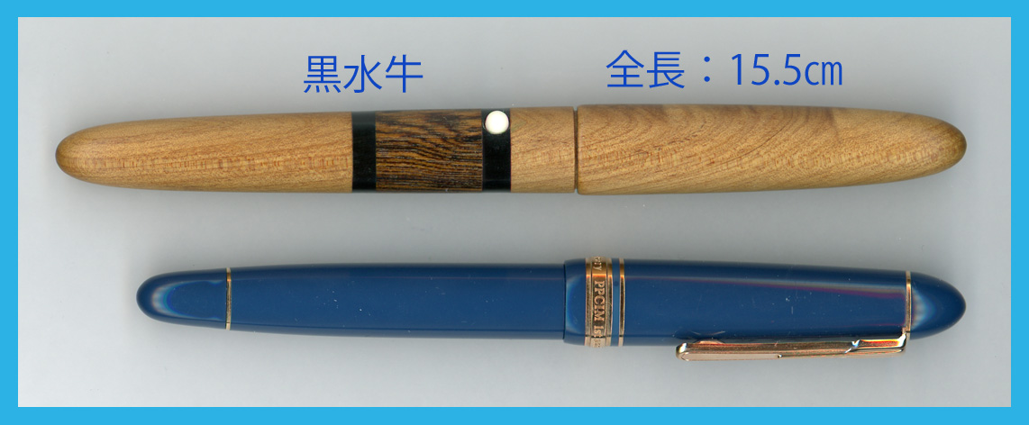 萬年筆研究会【WAGNER】創立15周年記念 Short Model : 万年筆評価の部屋