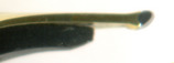2008-01-21 11