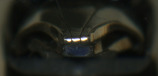 2008-05-26 07