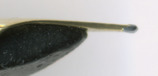 2008-09-01 10