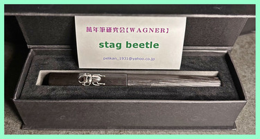 stag beetle
