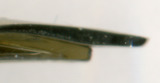 2008-05-26 10