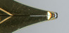 2010-05-26 03
