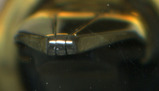 2008-05-03 07