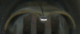 2008-07-17 04