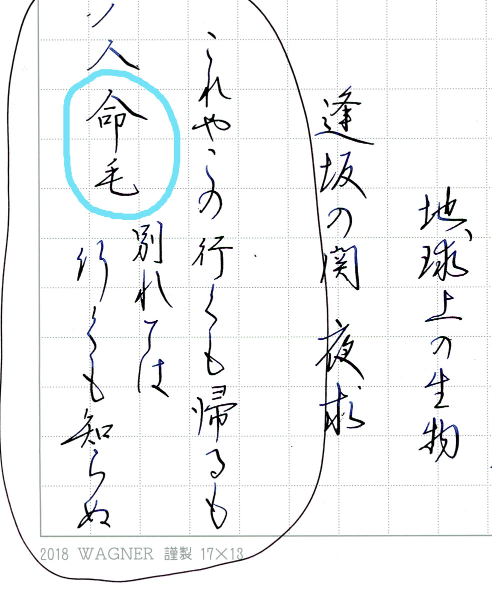 万年筆評価の部屋 命毛を万年筆で出せるか そして 泉筆五宝展記念萬年筆 19