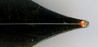 2010-06-16 09