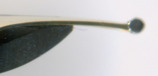 2008-09-17 10