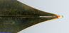 2010-07-21 03