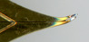 2010-04-20 03