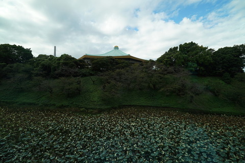 DSC02260