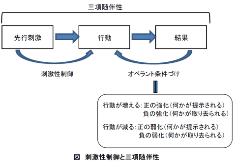 行動主義の意味
