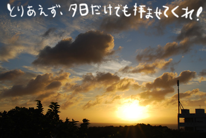 たまご日記 -はじめての妊娠&子育て-