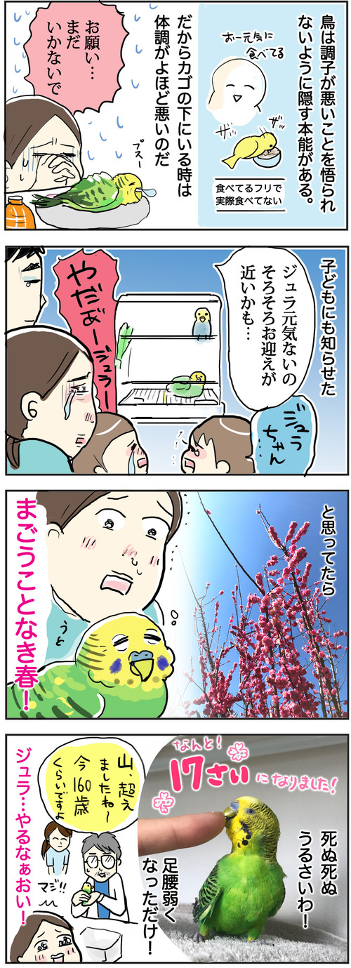 0314-3